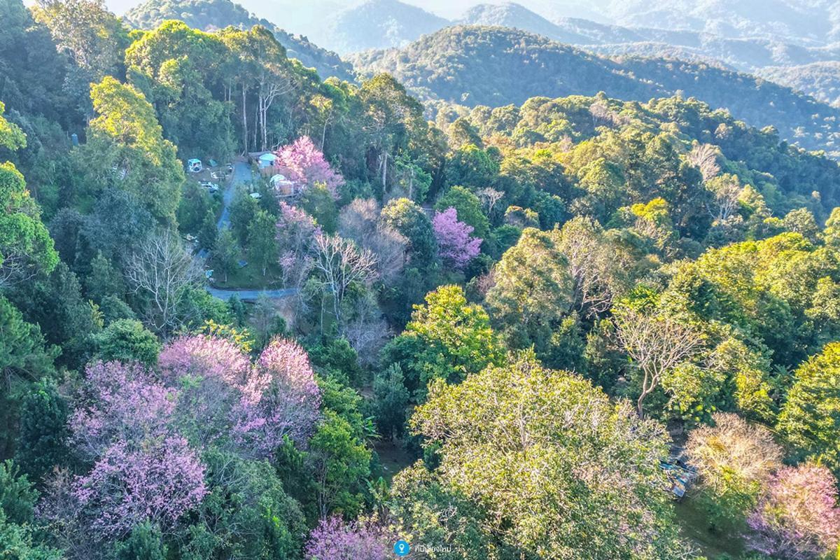 מלון Ban Pang Bo Hu Bon Nam Dun Glamping-น้ำดั้นแกลมปิ้ง מראה חיצוני תמונה